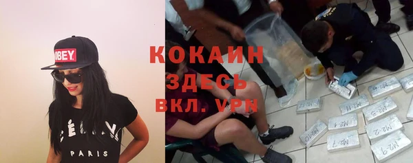 шишки Балахна
