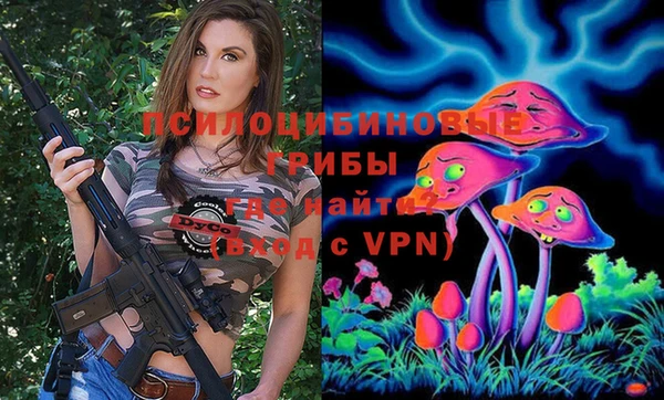шишки Балахна