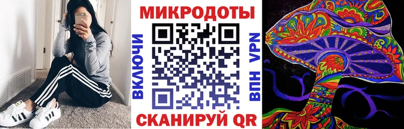 Галлюциногенные грибы Psilocybine cubensis  OMG ссылки  Омск 